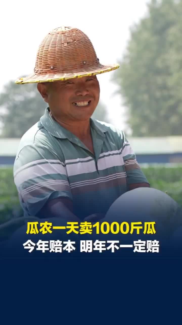 记者实访河南周口，瓜农抓紧处理3万斤西瓜：今年赔本 明年不一定赔