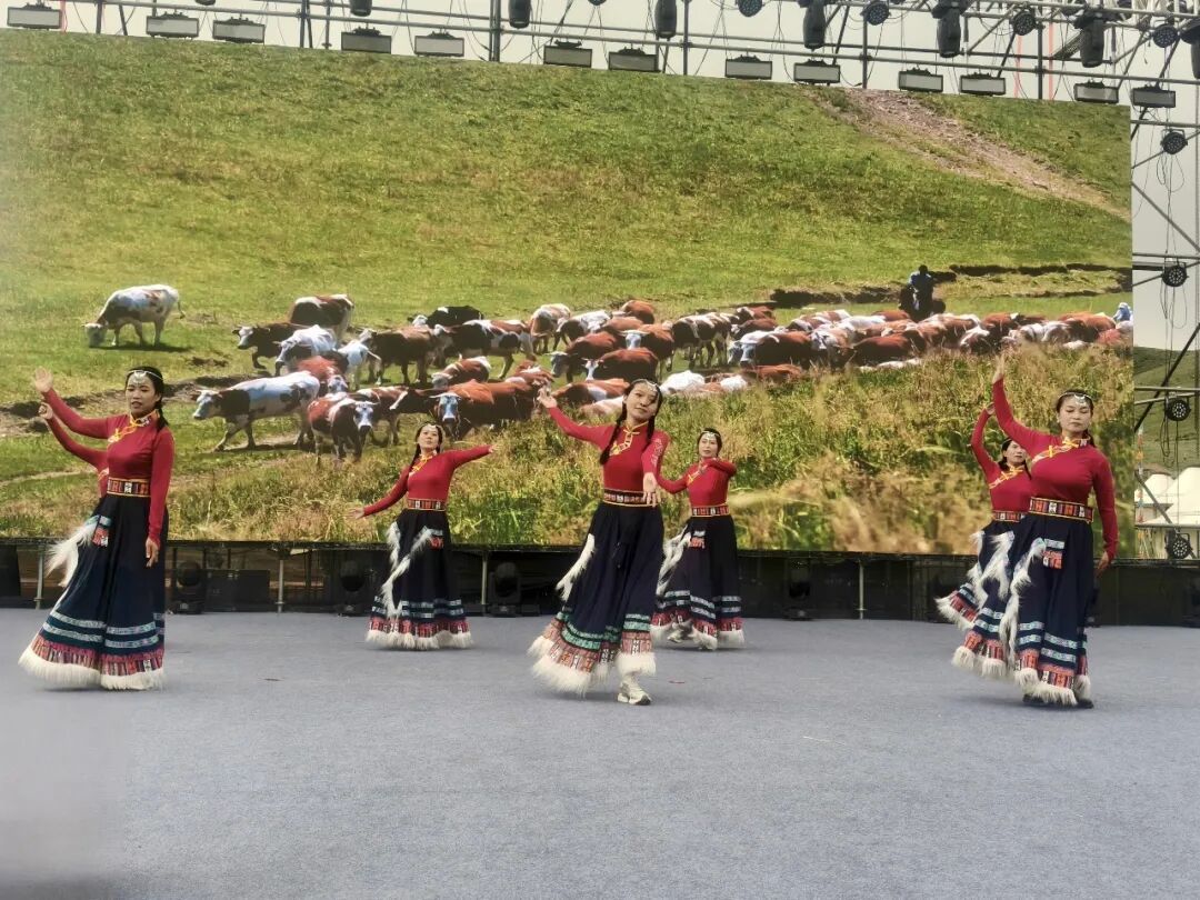 藏舞《小河滩风暴》