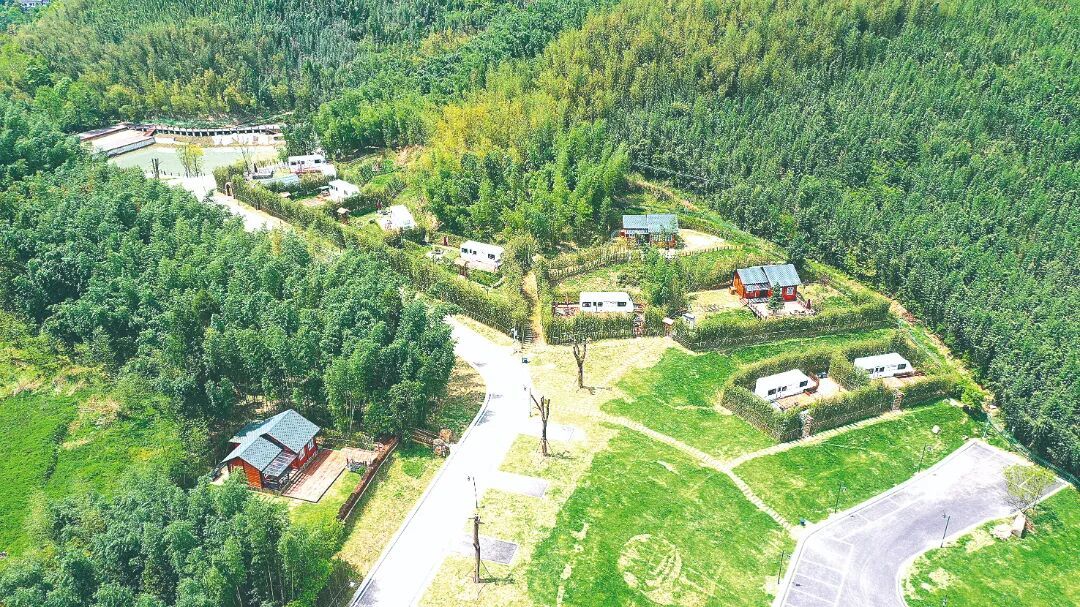 翠竹环抱的星空露营房车基地（无人机拍摄。）高柔颉  摄.JPG