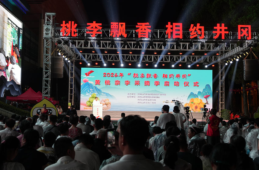 2026“桃李飘香 相约井冈”黄桃柰李采摘季启动仪式举行