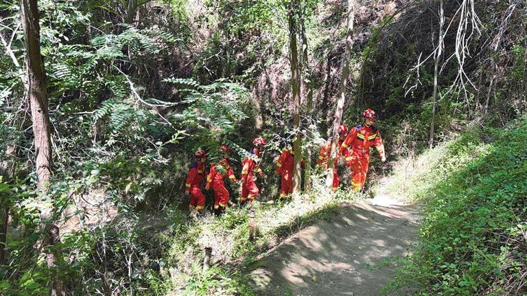 在徐家山公园深林处巡逻