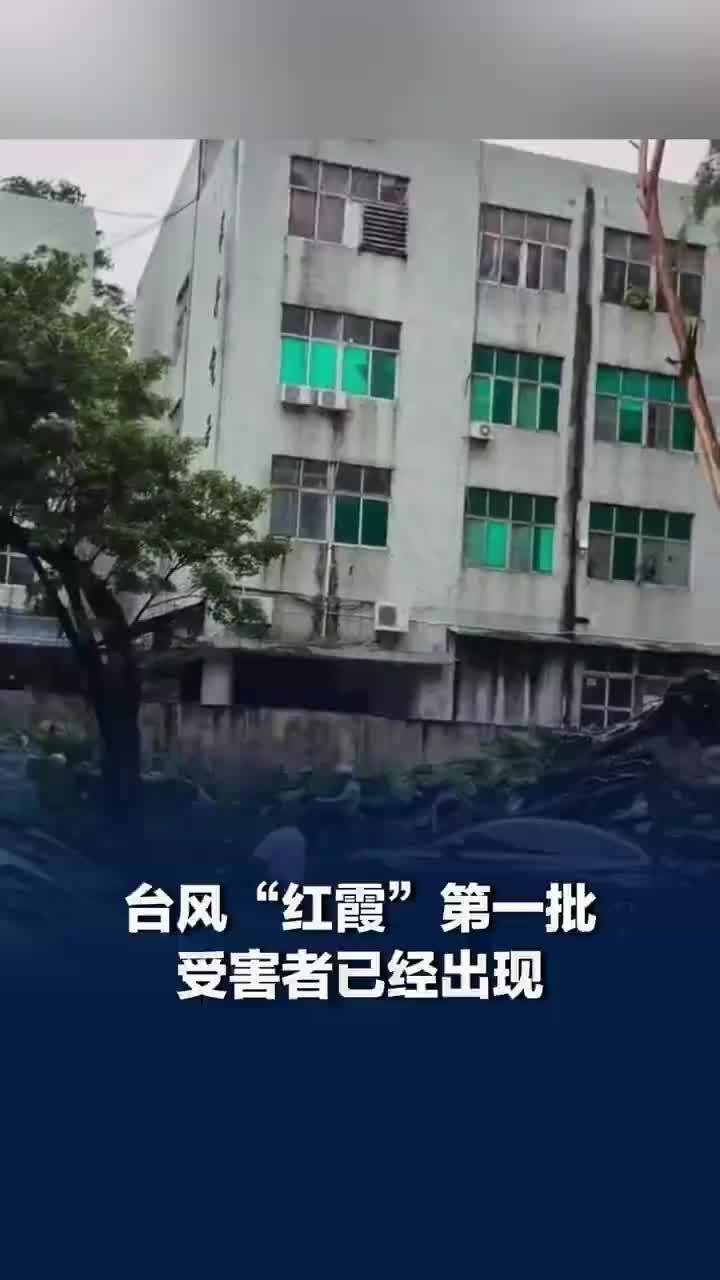 台风红霞第一批受害者已经出现：北方人感叹震惊第一次见到这种场面