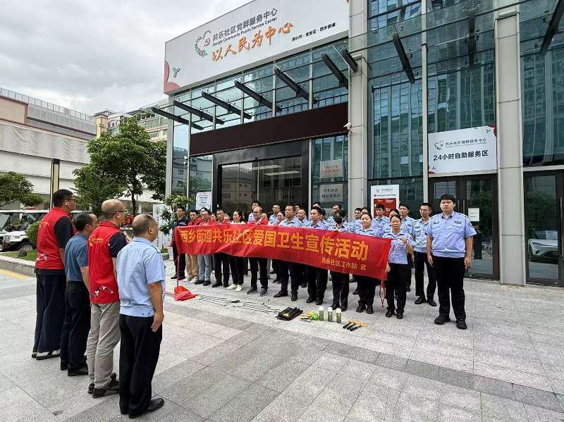 深耕爱国卫生运动 整治环境乱象——西乡街道共乐社区精细化提质市容风貌