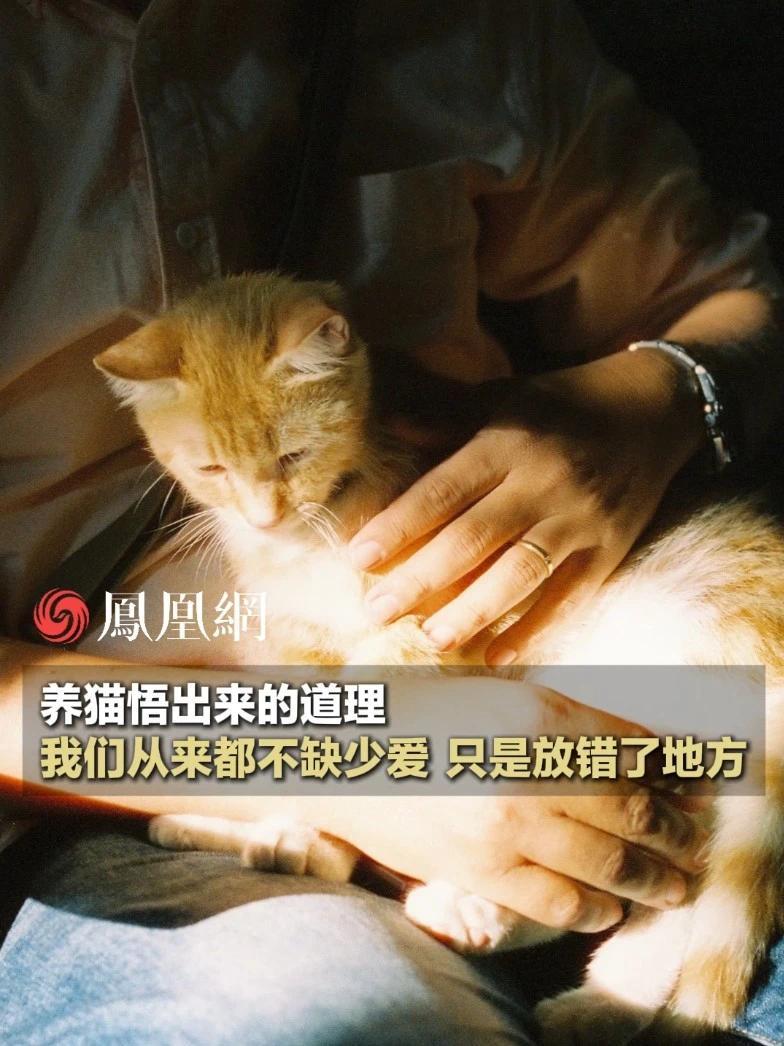 爱其实一直都在，只是我们总盯着远方的人，忘了看看身边。（来源：@彭凯平教授 ）#人生感悟 #友爱