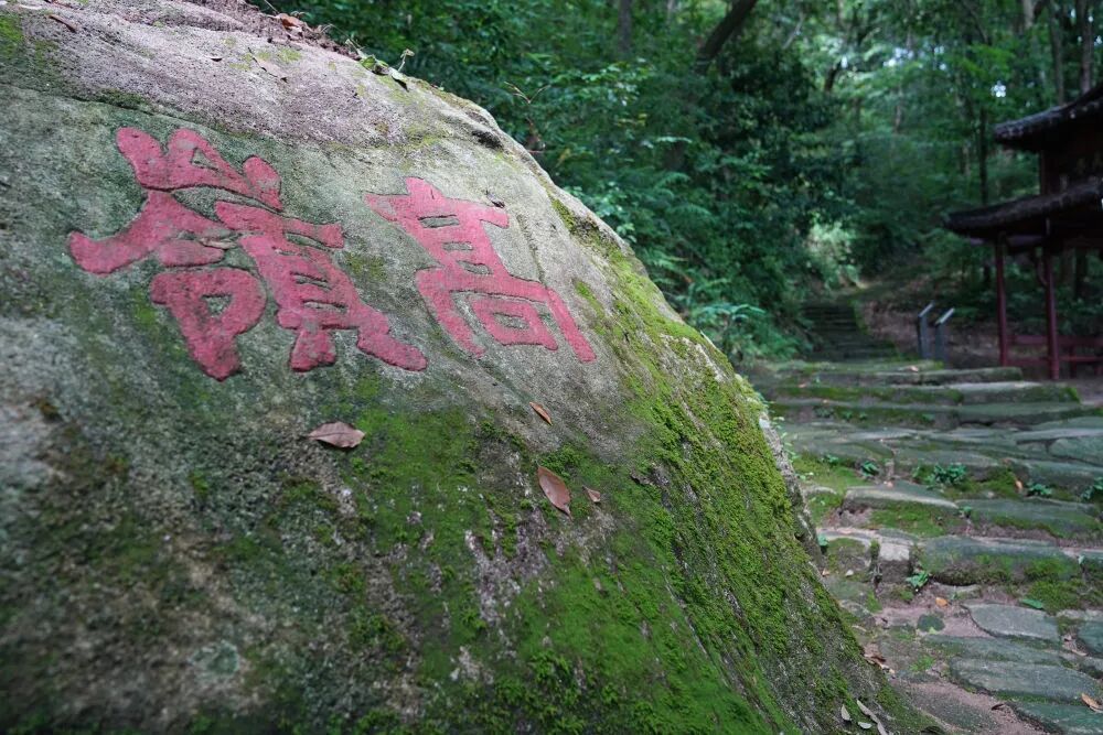 这是2026年5月28日拍摄的景德镇高岭瓷土矿遗址古道。新华社记者 万象 摄