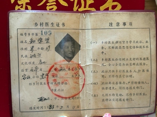 智塑未来, 山林里的医药：纳西东巴文化中的生命智慧