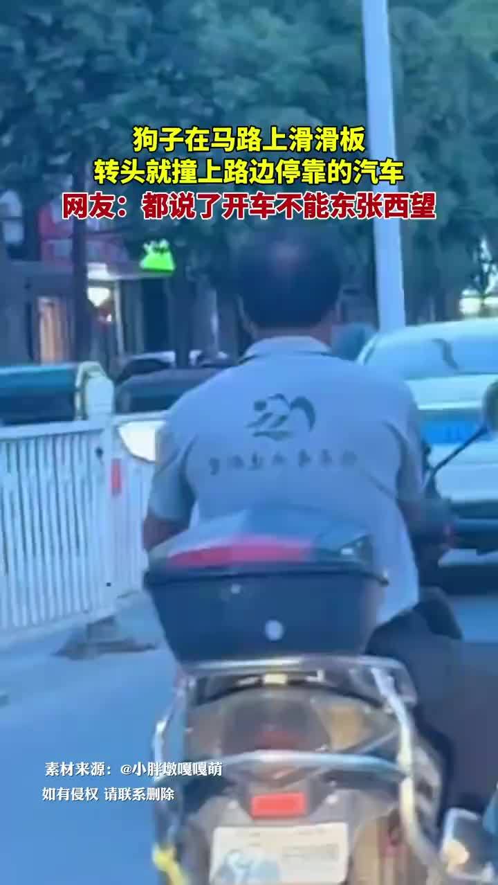 狗在马路上玩滑板转头撞上车