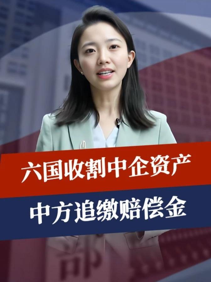 荷兰介入很快，六国收割中企资产，中方追缴赔偿金，要战奉陪到底#零基础看懂全球  #全球创作者计划
