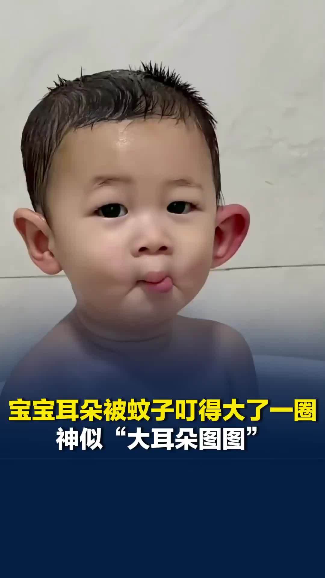 宝宝耳朵被蚊子叮得大了一圈，神似“大耳朵图图”
