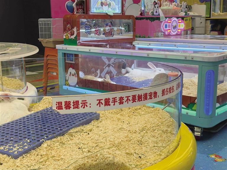 萌宠区的安全温馨提示