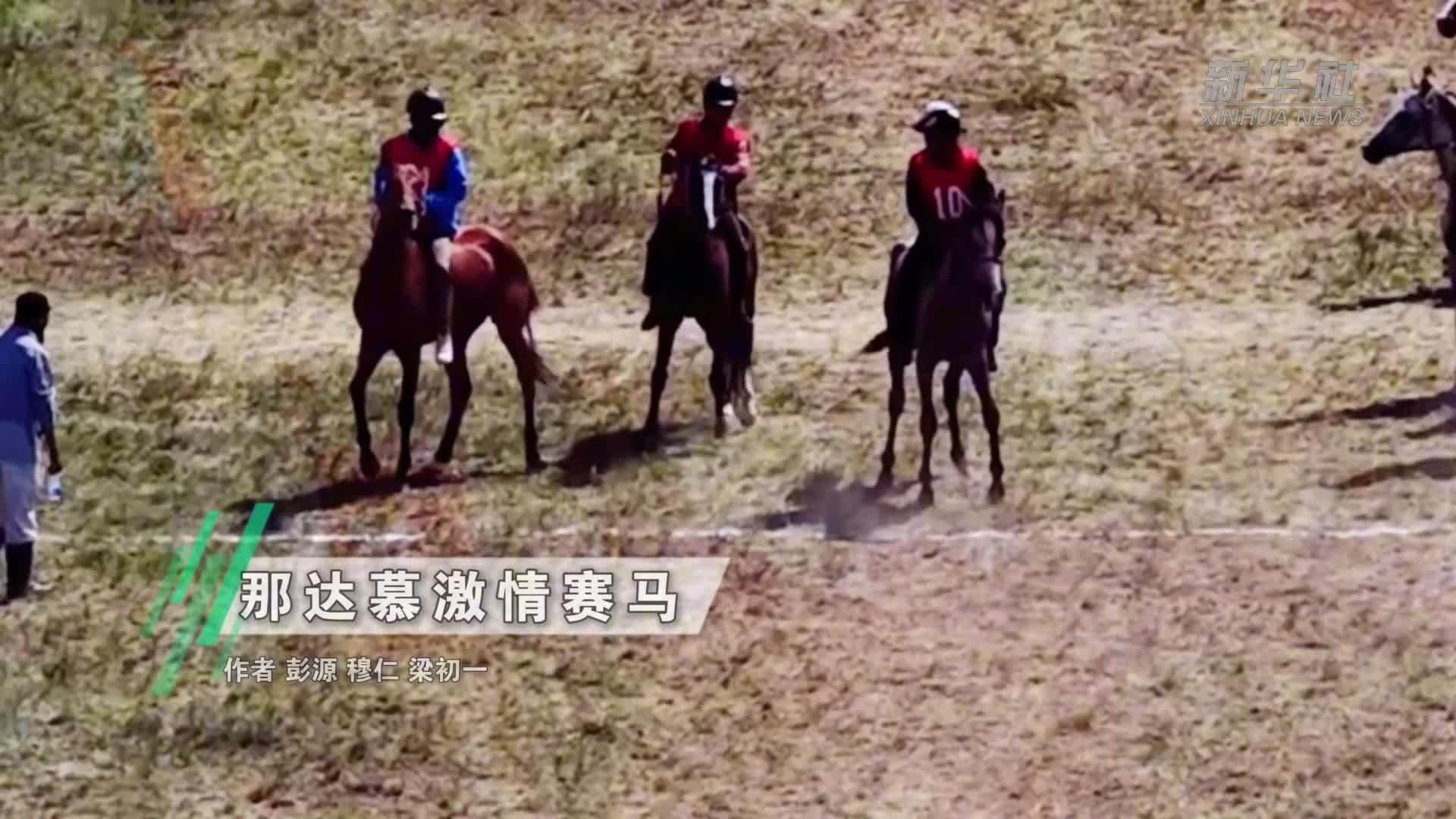 那达慕激情赛马