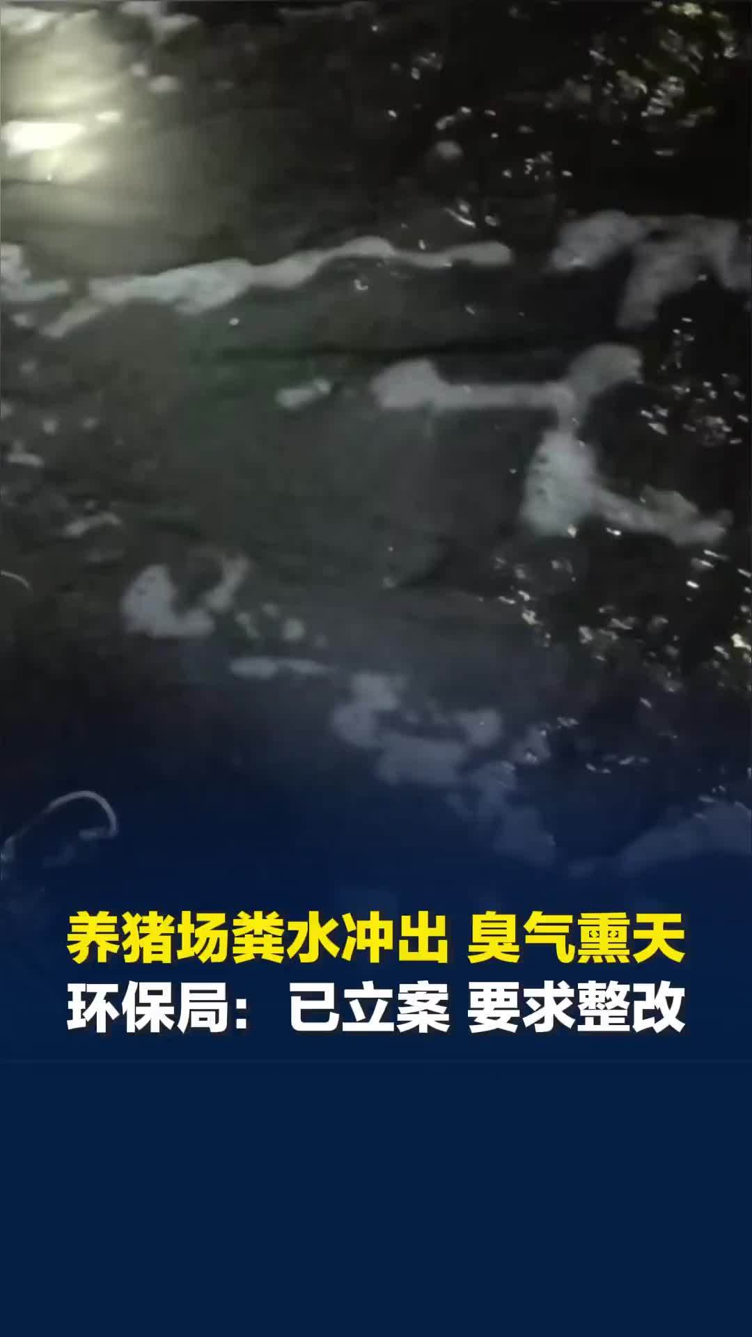 养猪场粪水冲出，村民称排粪污持续约20年，环保局：此次系因粪池围堰损坏，已立案