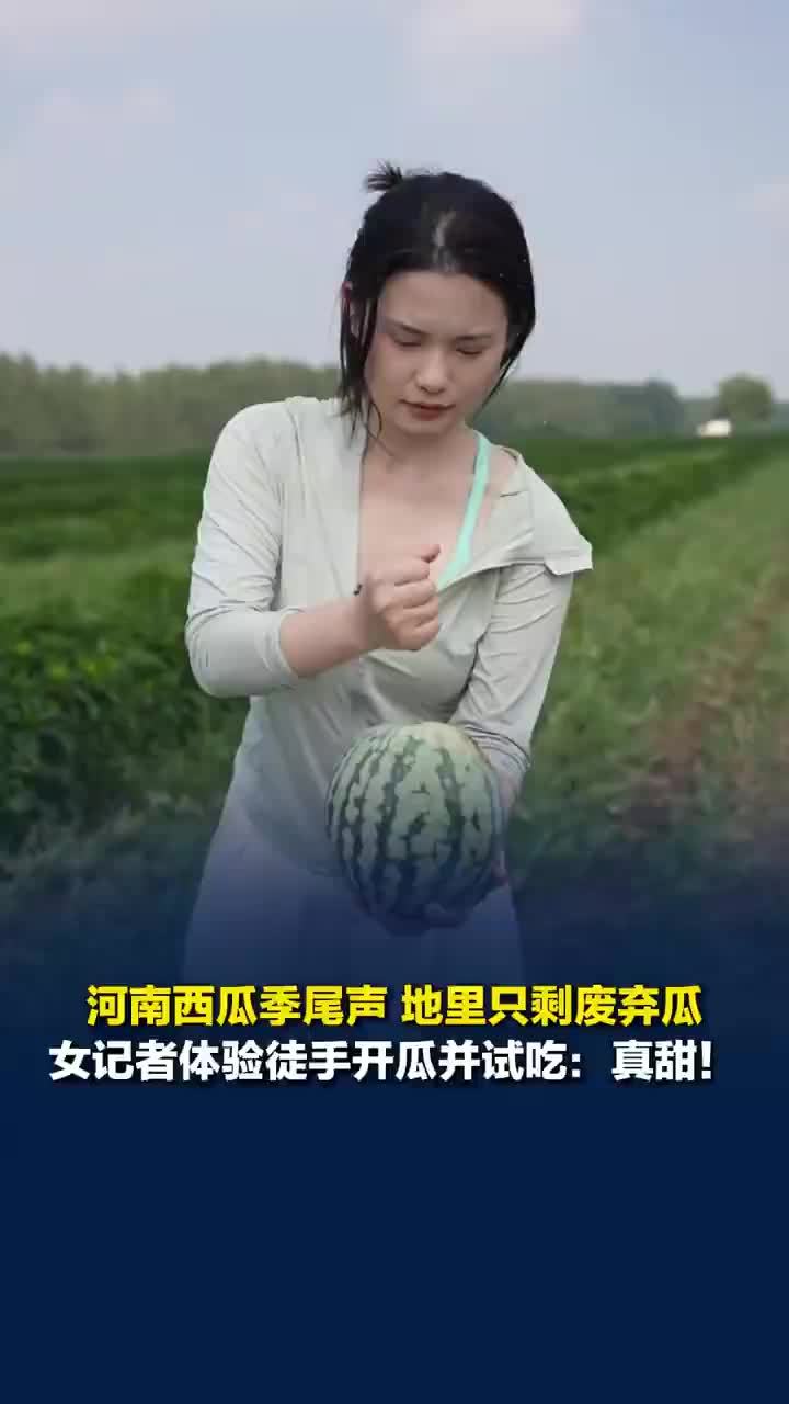 女记者徒手开废弃西瓜并试吃