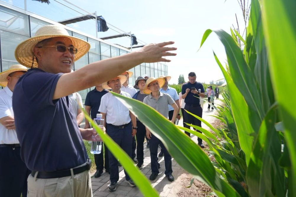 7月19日，中国工程院院士康绍忠（左一）带领与会人员在武威市实地调研。