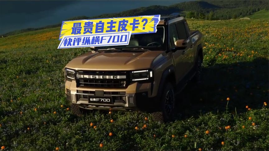 最贵自主皮卡？快评纵横F700：身板比山海炮大，值不值？
