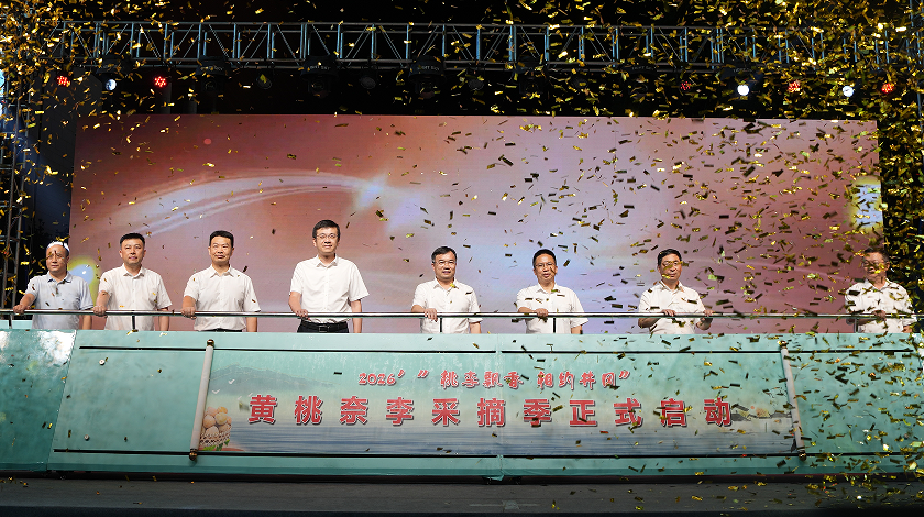 2026“桃李飘香 相约井冈”黄桃柰李采摘季启动仪式举行
