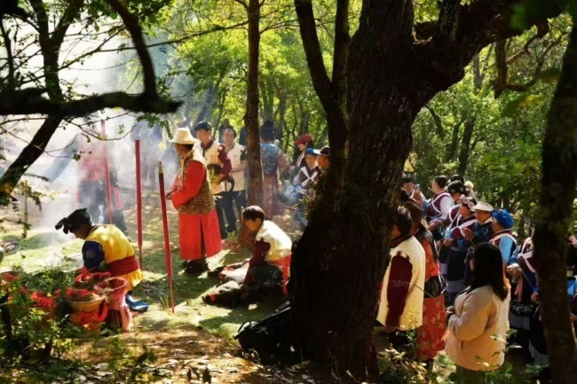 智塑未来, 山林里的医药：纳西东巴文化中的生命智慧