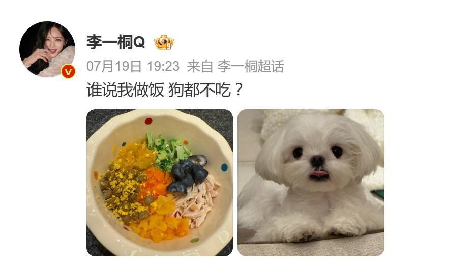 演员李一桐发文:“谁说我做饭狗都不吃?”