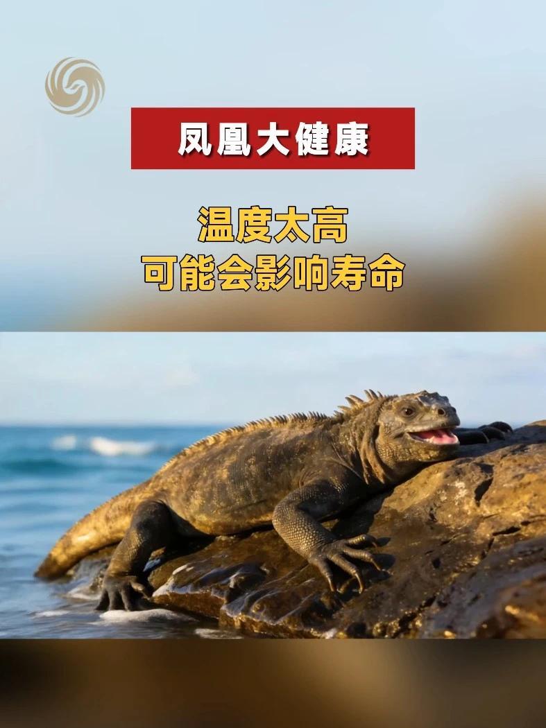 温度太高，竟会影响寿命？