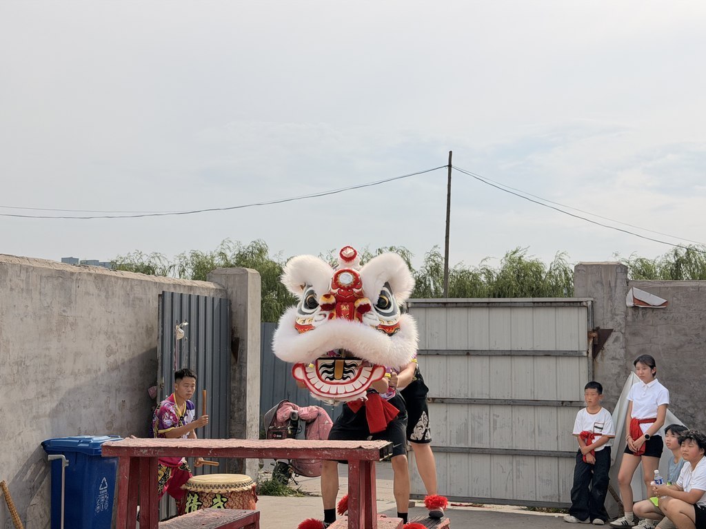 图为王迎奥在邯郸精武龙狮团训练。韩忠东 摄