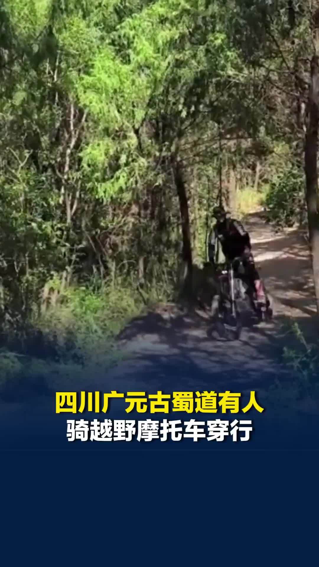 四川广元古蜀道有人骑越野摩托车穿行，镇政府：此前发生过，将加强巡查