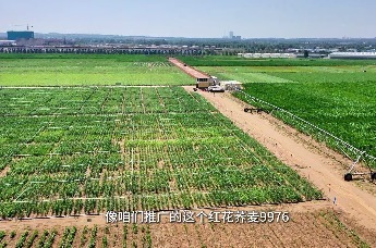 从杨凌农高会到“一带一路”：榆林小杂粮“全产业链条”出海记