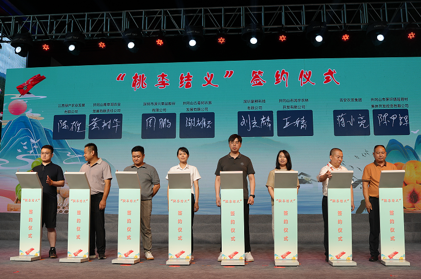2026“桃李飘香 相约井冈”黄桃柰李采摘季启动仪式举行