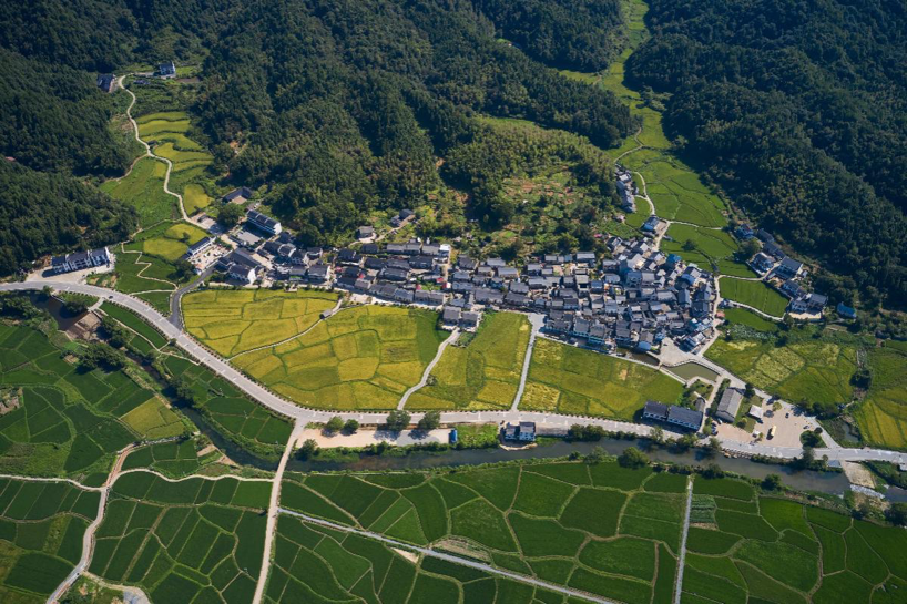 蛟潭窑柴燃料产区：礼芳村窑柴山林及古建筑群