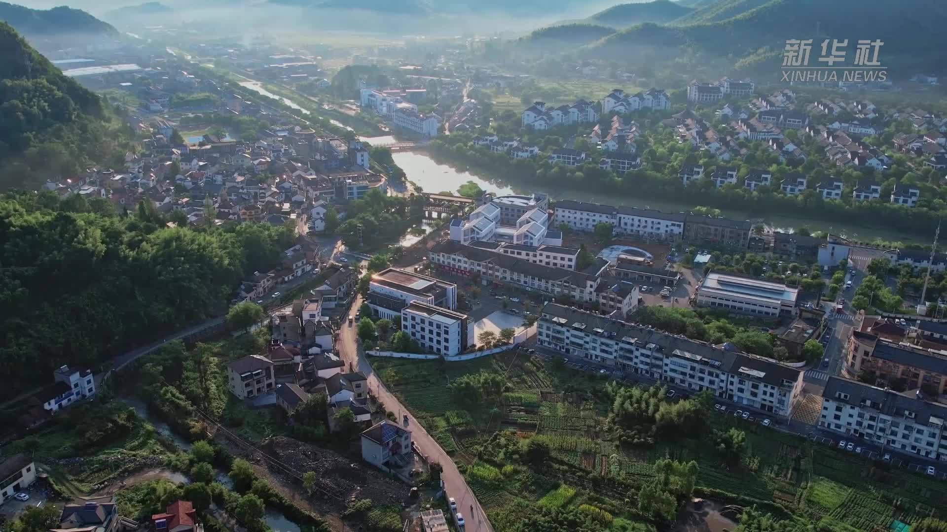 浙江德清：多措并举支持青年入乡 赋能乡村振兴