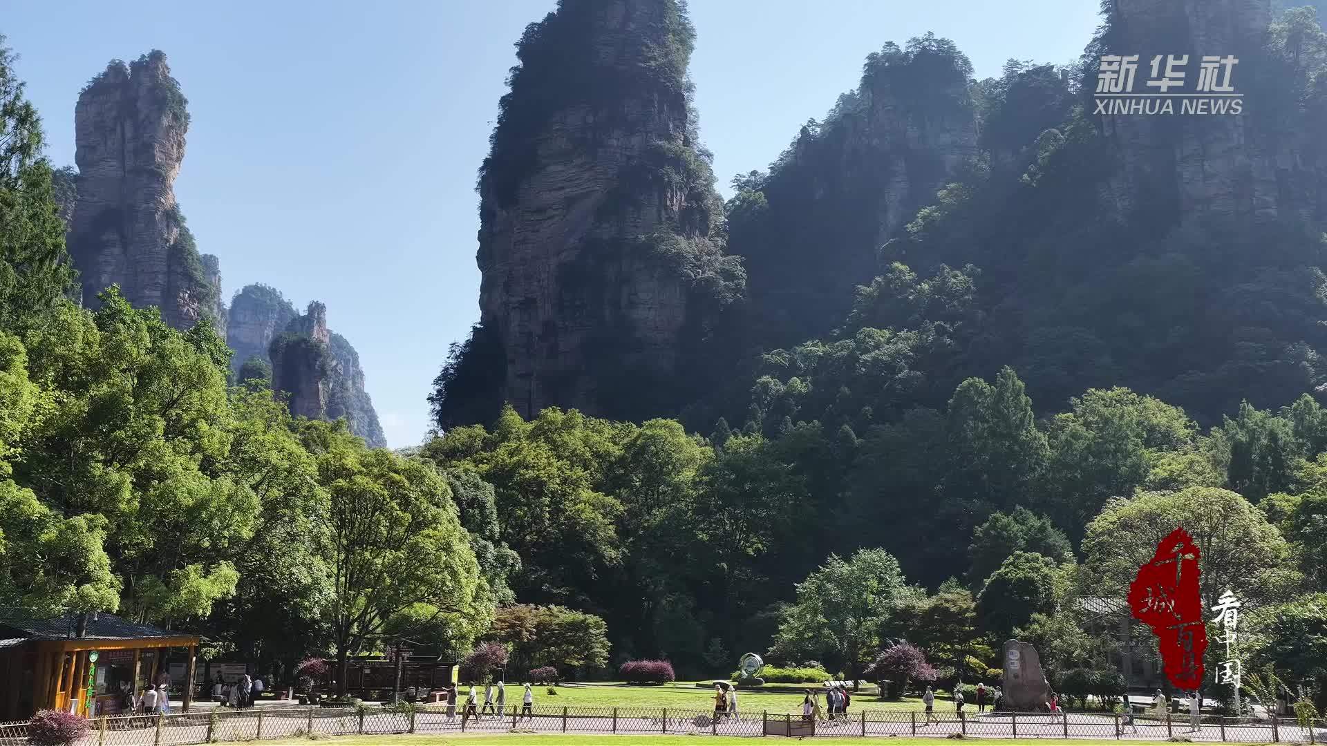 千城百县看中国｜湖南张家界：临溪避暑觅清幽