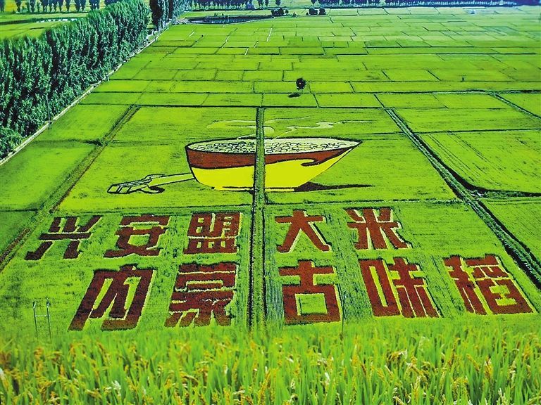 内蒙古地理标志产业实现质效双升——“一枚地标”助乡土好物闯世界