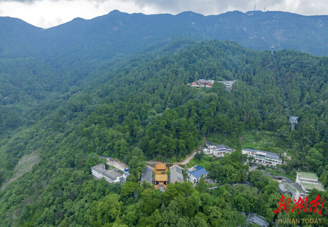 玄都观航拍。