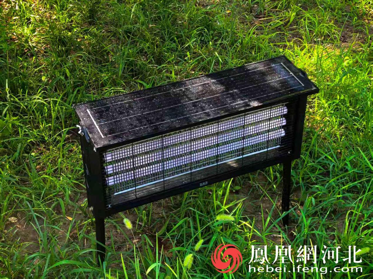 公园里的太阳能防蚊灯