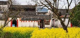 文旅先声