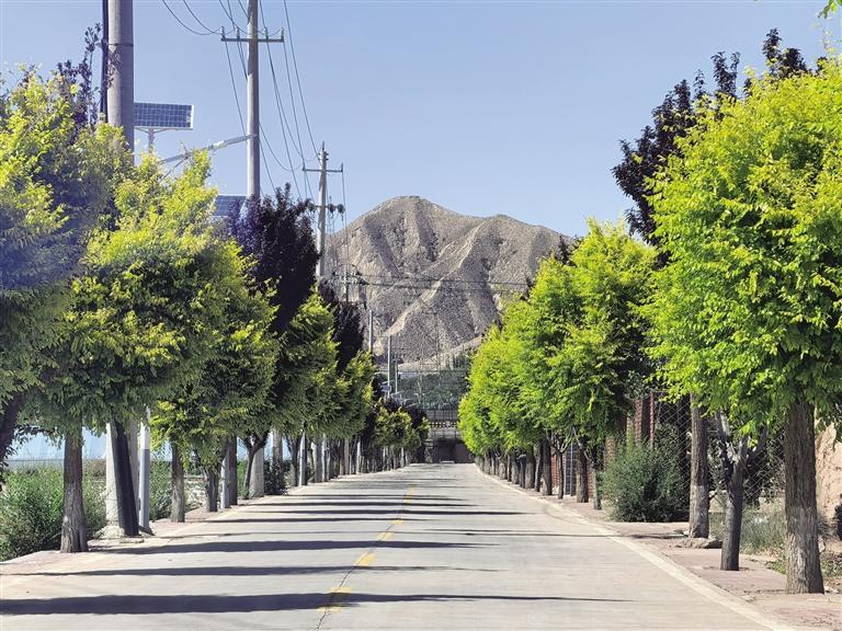 乡村绿树成行