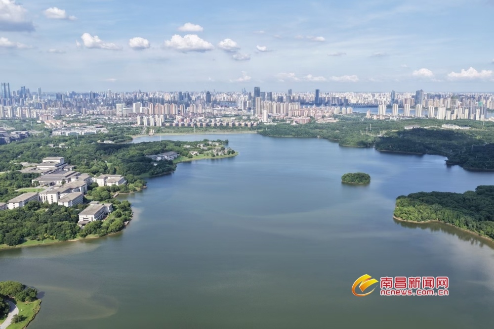 南昌前湖尽显城市生态之美（图）