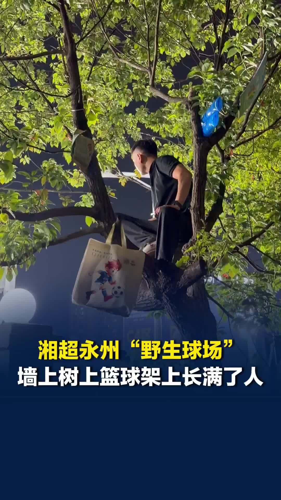 湘超永州“野生球场”外，墙上、树上、篮球架上长满了人