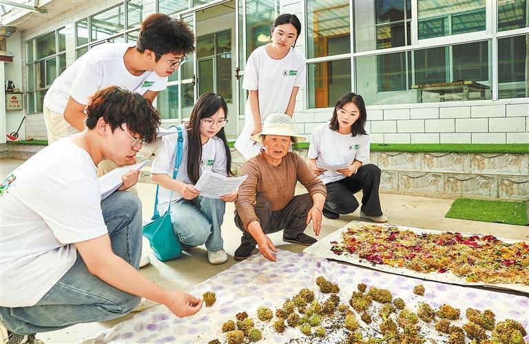 近日，兰州财经大学会计学院“景禾知育”文化宣传实践队赴天祝藏族自治县天堂镇开展暑期“三下乡”社会实践活动。新甘肃&middot;甘肃日报记者　田蹊
