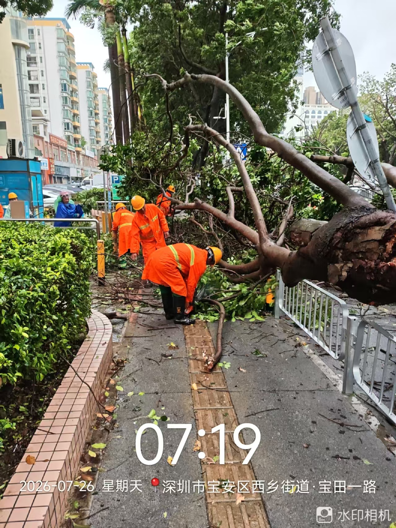 西乡街道严阵以待防御台风 全力筑牢防风防汛安全屏障