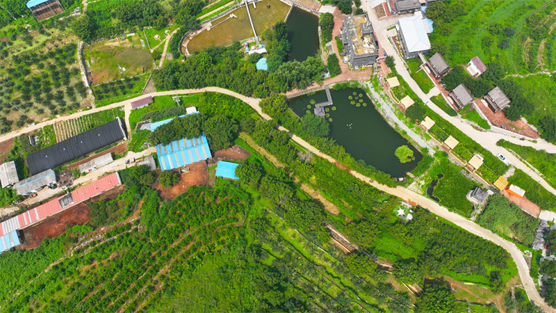 7月26日拍摄的唐山市丰润区山缘生态庄园。