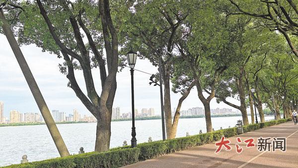 青山湖西岸