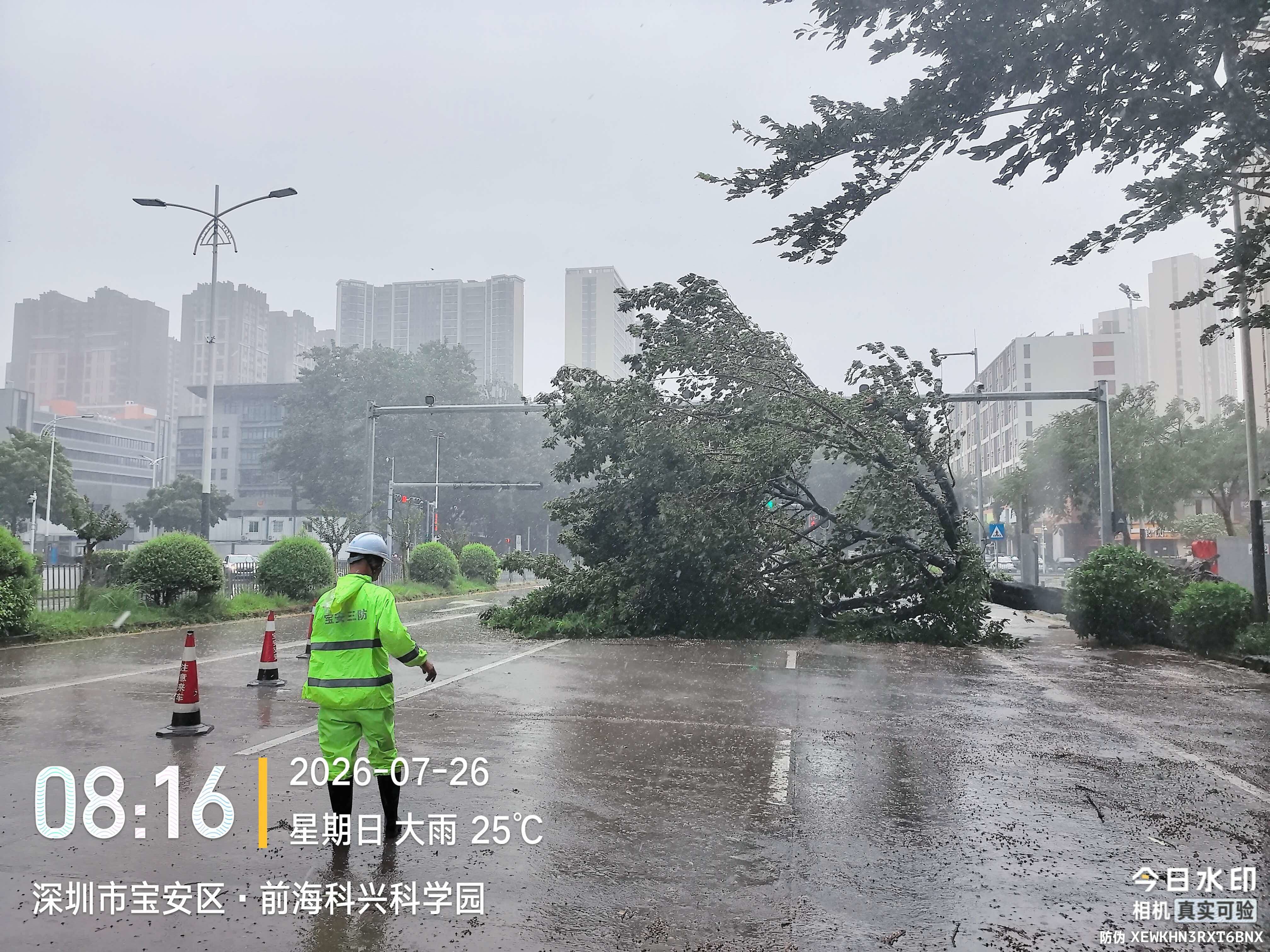 西乡街道严阵以待防御台风 全力筑牢防风防汛安全屏障