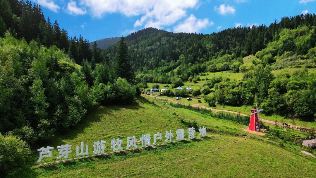 芦芽山游牧风情户外露营地绿意盎然 张存良摄
