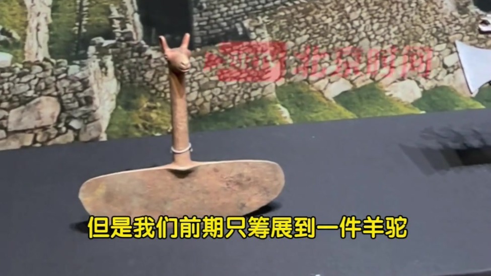 首博“玛雅与安第斯古代文明大展”引进羊驼文物 独特视角读懂安第斯文明