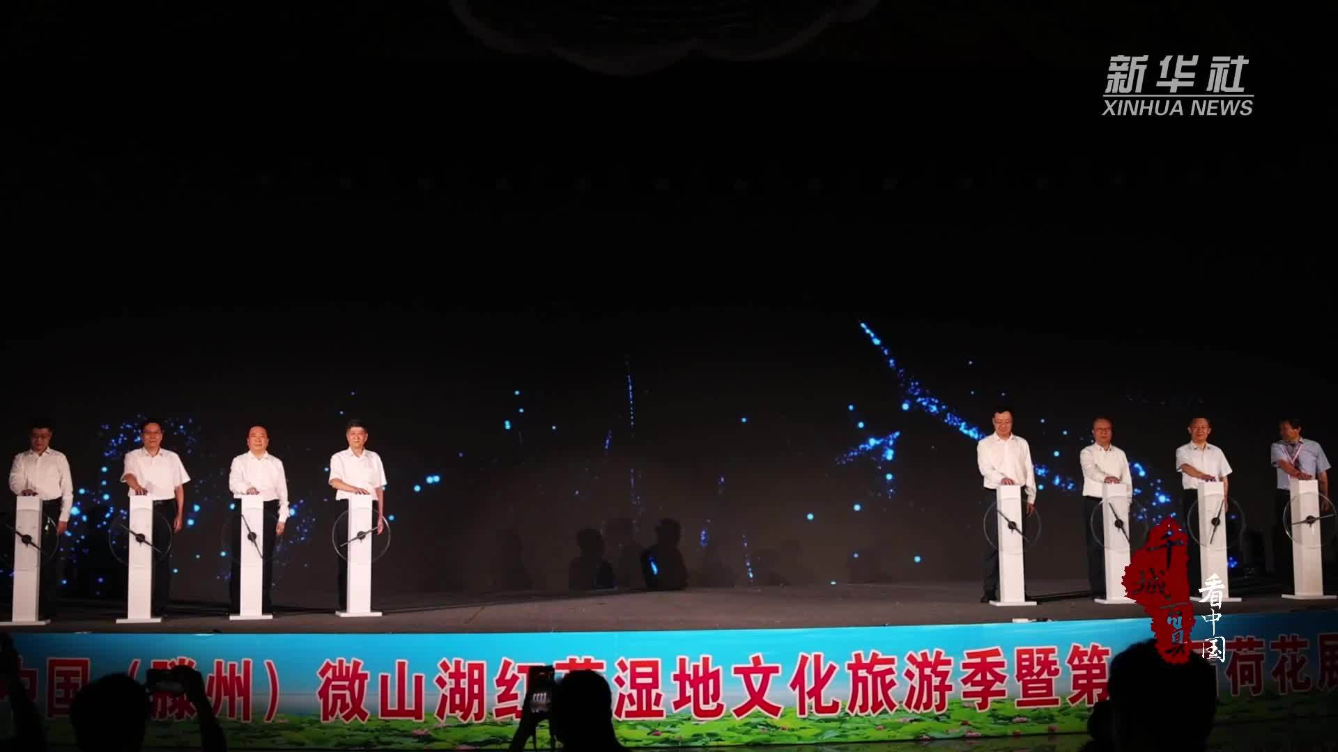 千城百县看中国｜山东滕州：荷开湿地 夏日有约