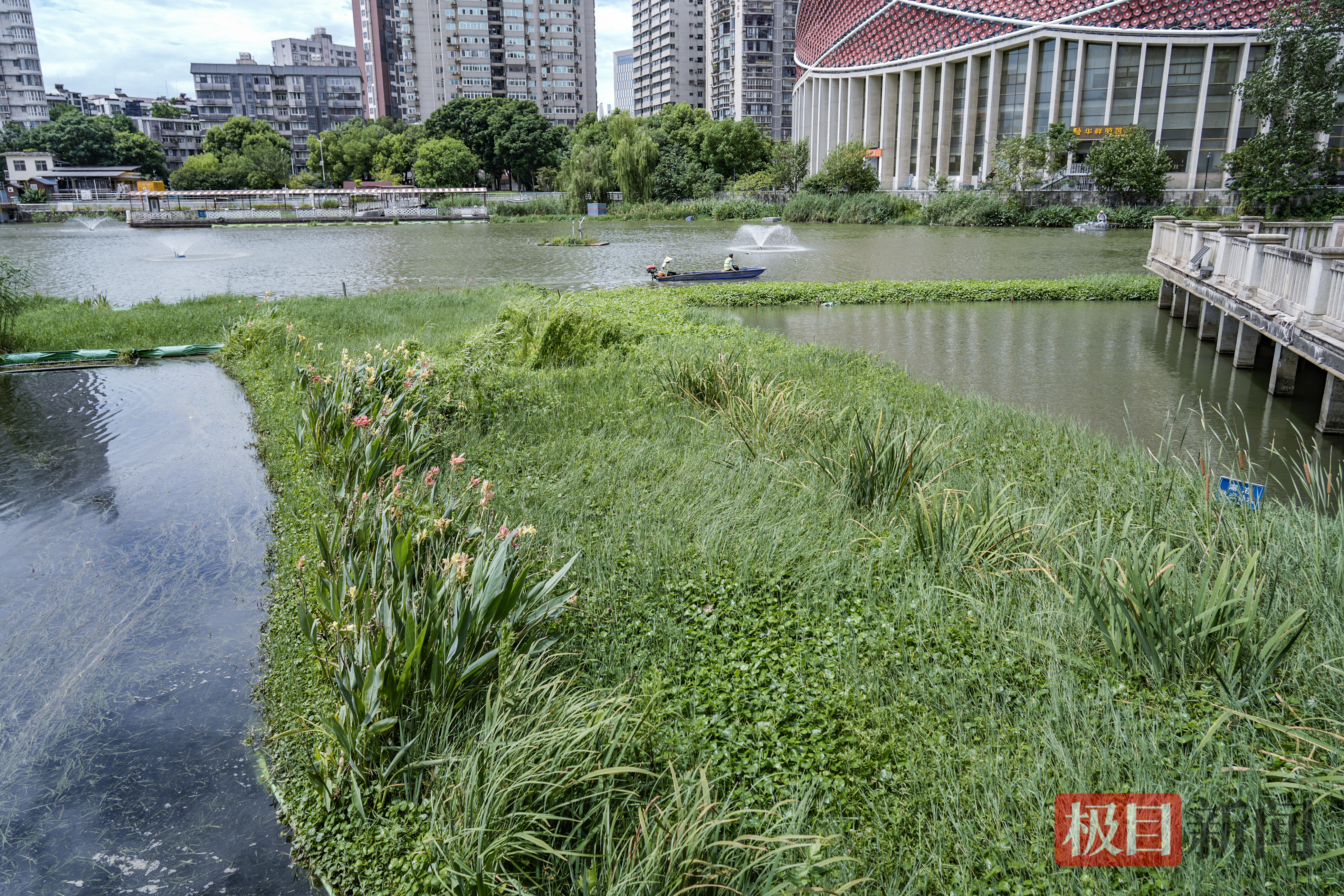 生态浮岛成为湖中景观