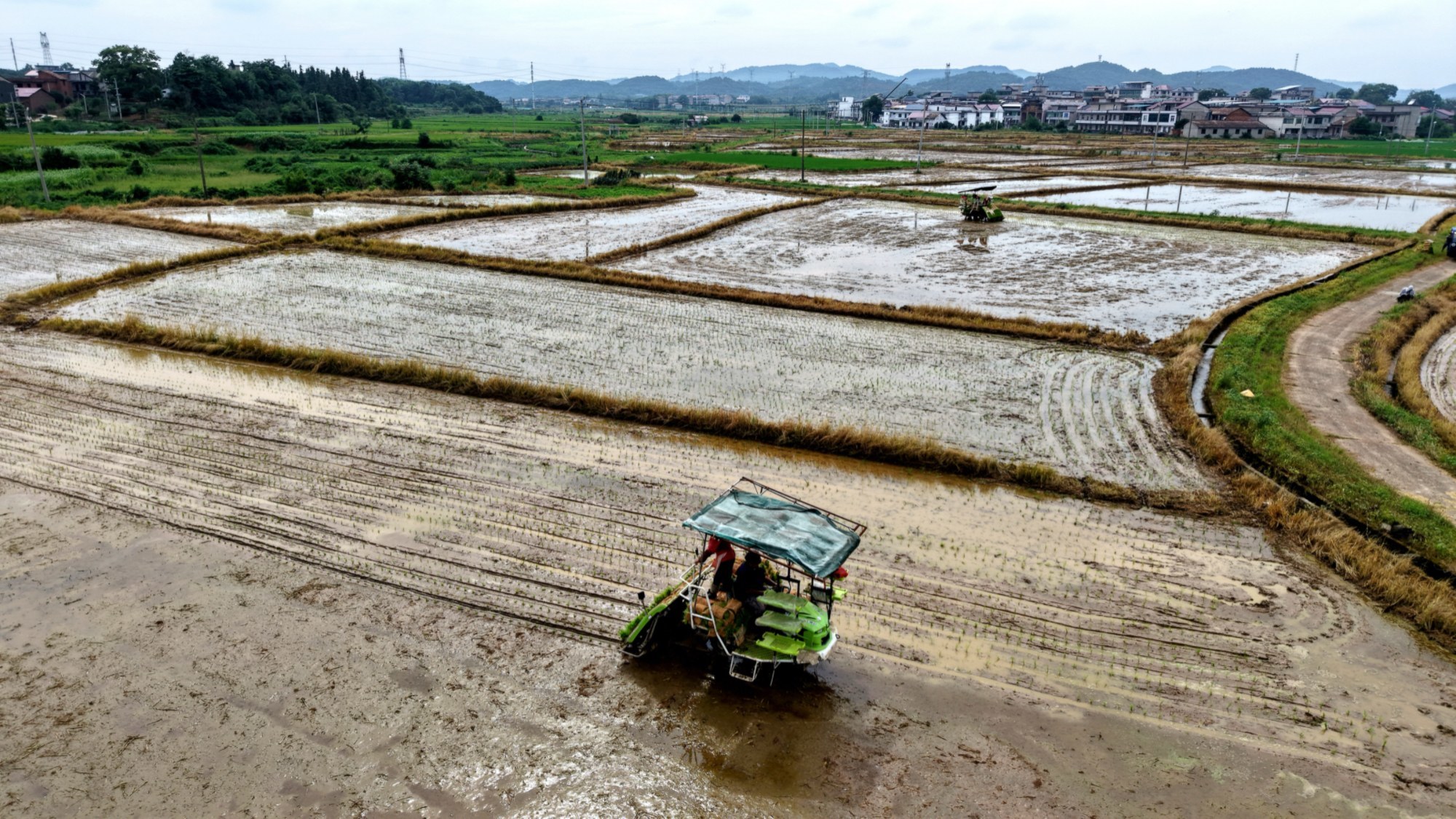 江西新余：晚稻机械化栽插 筑牢粮食丰收底盘（图）