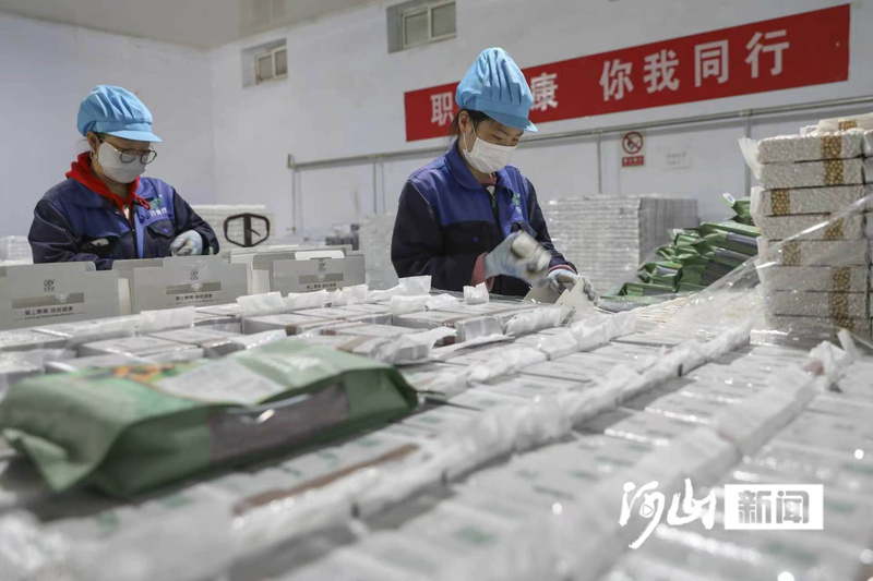 “沽源藜麦”助农增收 武殿森摄