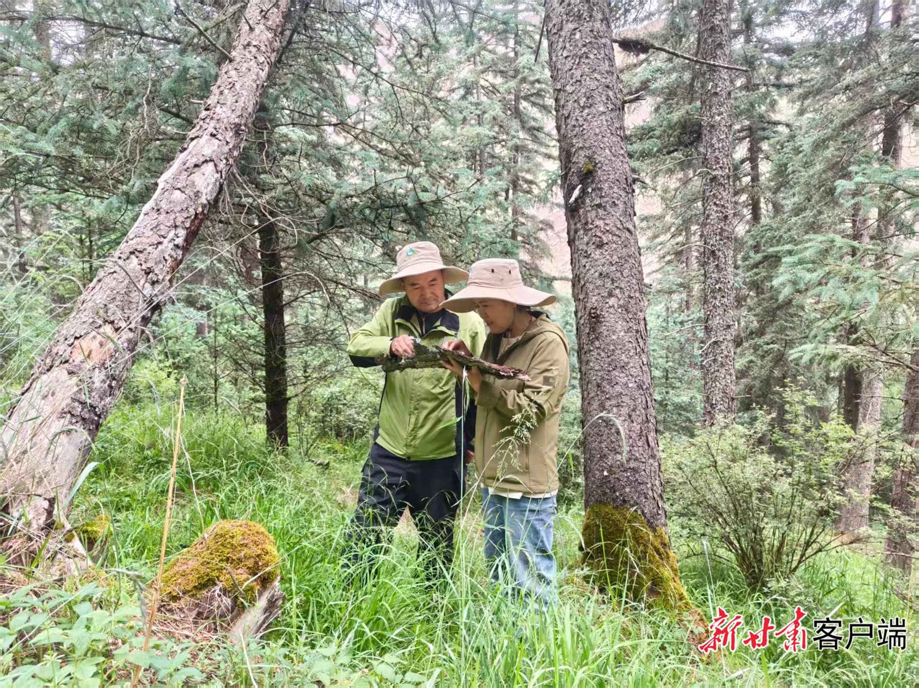 马建成（左一）与科研团队采集数据