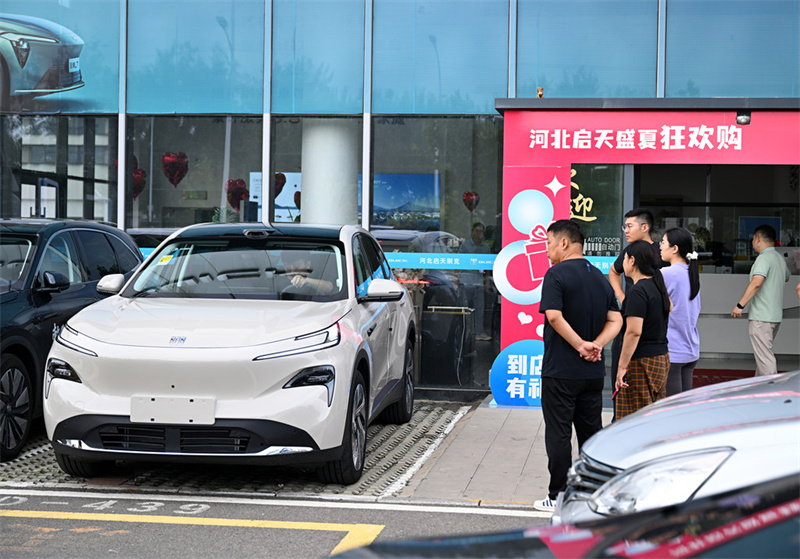 7月27日,消费者在石家庄市桥西汽车园选购新能源汽车。